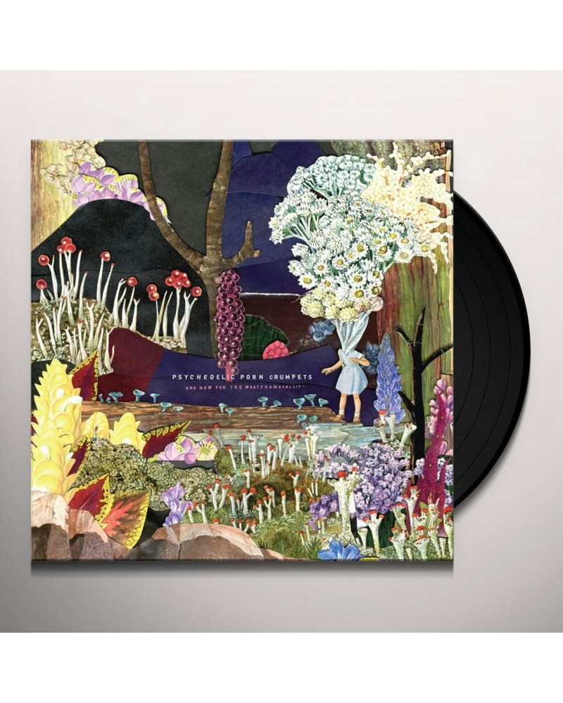 Psychedelic Porn Crumpets And Now For The Whatchamacallit Vinyl Record $24.42 Vinyl