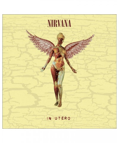 Nirvana In Utero (Oversize Item Split/Deluxe Edition/30th Anniversary) (8LP) Vinyl Record $114.00 Vinyl