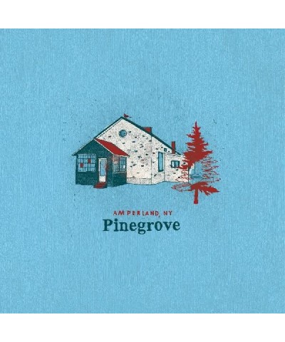 Pinegrove Amperland Ny Vinyl Record $19.00 Vinyl